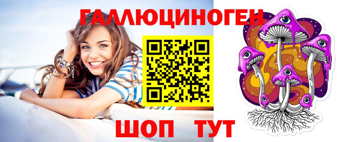 Галлюциногенные грибы Psilocybe Калуга